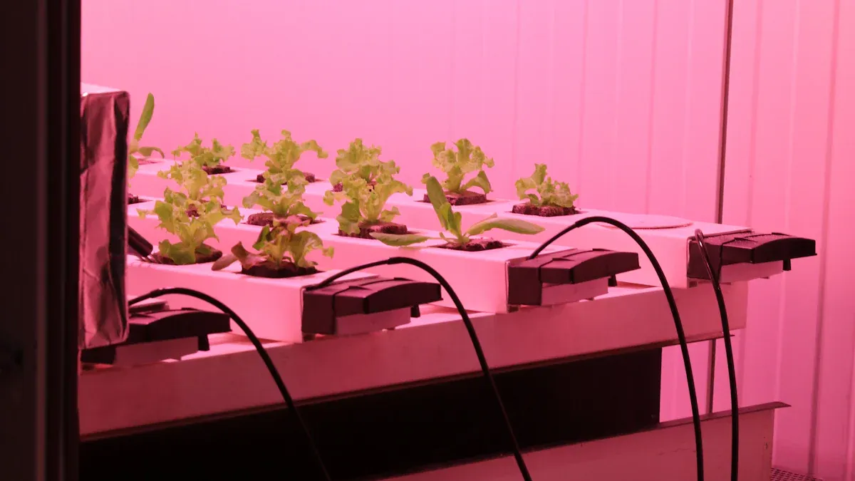 ແສງສະຫວ່າງທີ່ປູກແນວຕັ້ງກໍ່ສາມາດຊ່ວຍໃຫ້ຕົ້ນໄມ້ຂອງທ່ານດີຂື້ນ